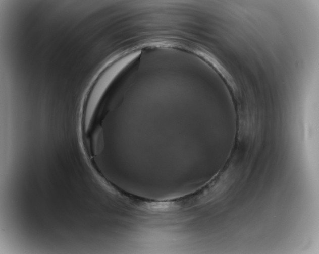 X0000088850853200706081133