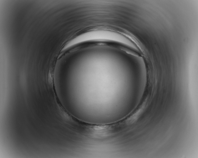 X0000088850857200706081133