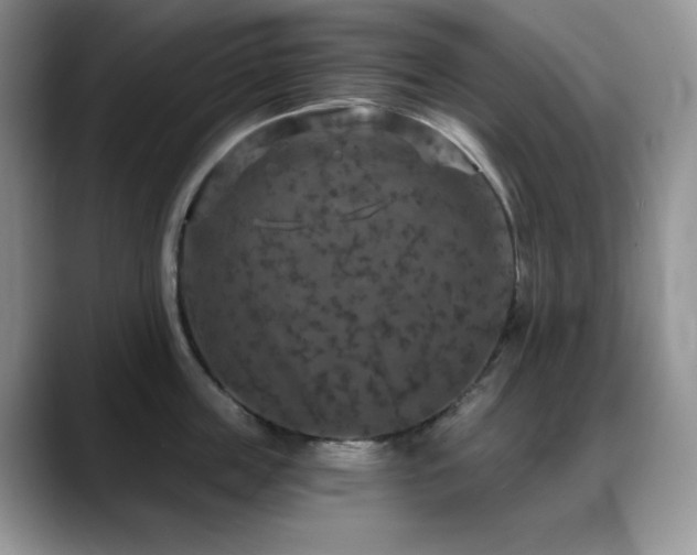 X0000088850859200706081133