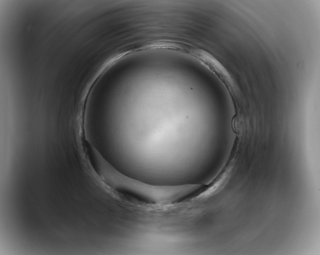 X0000088850860200706081133