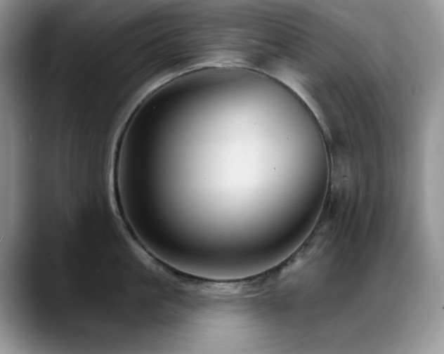X0000088850861200706081133