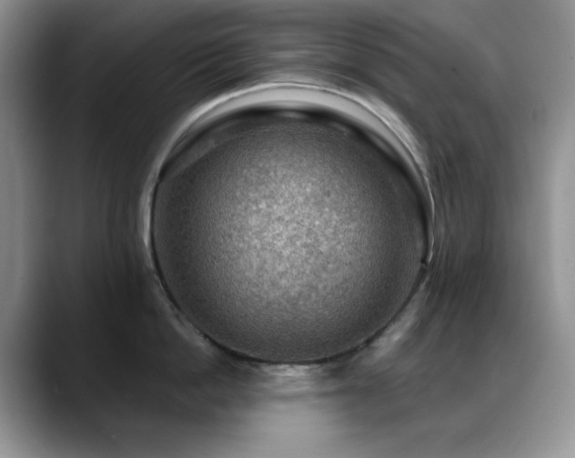 X0000088850862200706081133