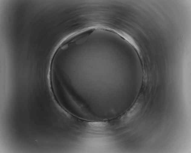 X0000088850863200706081133