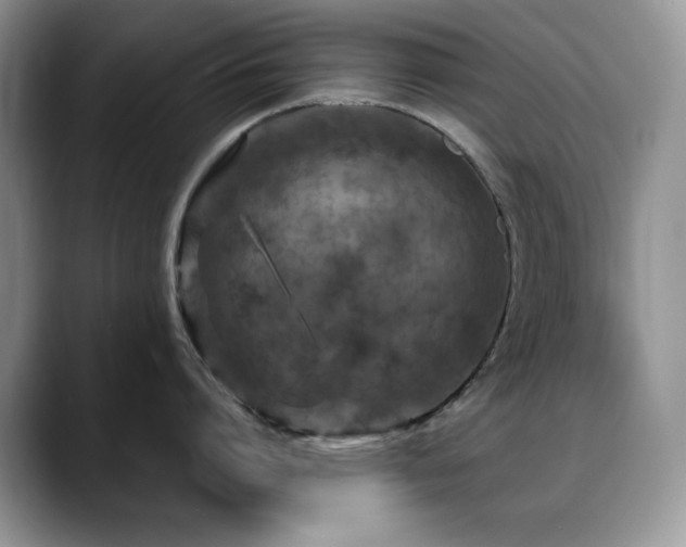 X0000088850864200706081133