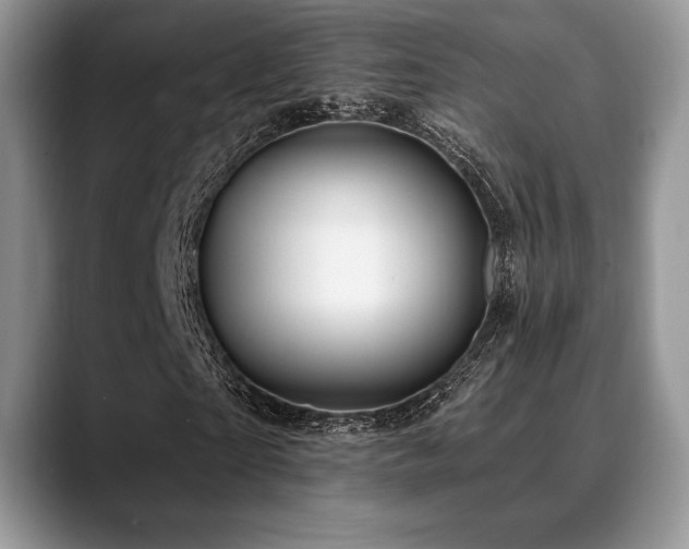 X0000088850865200706081133