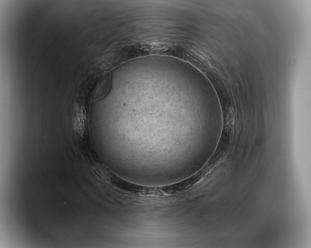 X0000088850866200706081133