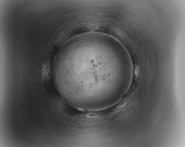 X0000088850867200706081133