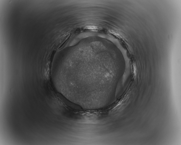 X0000088850868200706081133