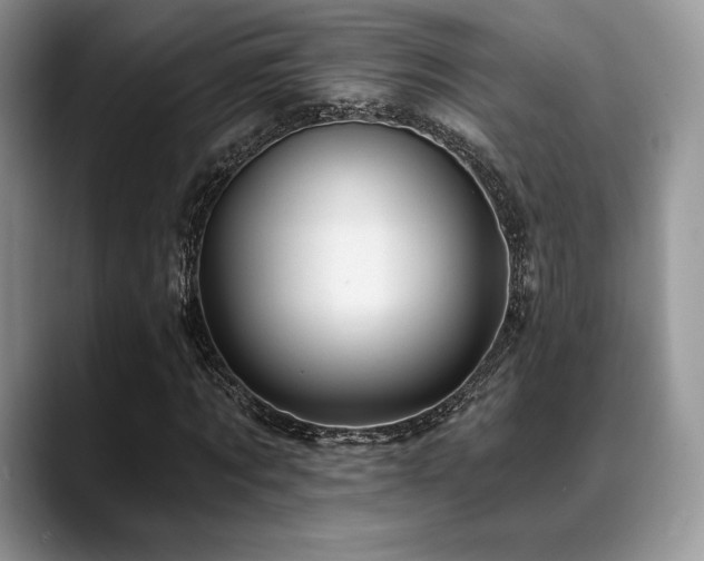 X0000088850869200706081133