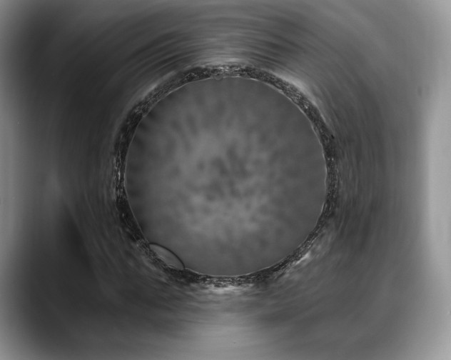 X0000088850871200706081133