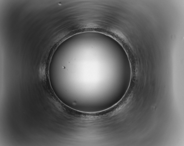 X0000088850873200706081133