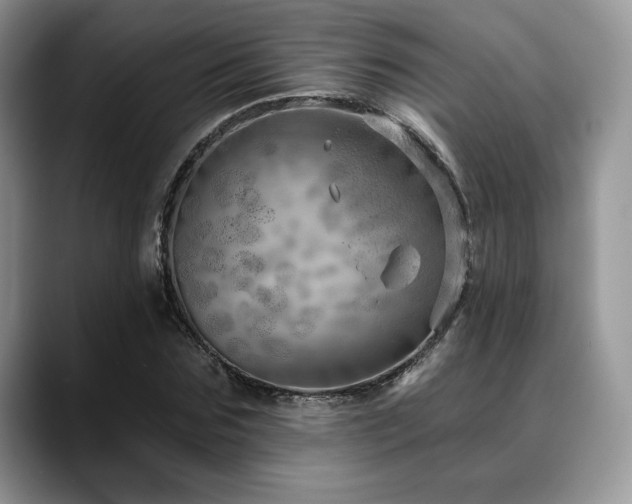 X0000088850875200706081133