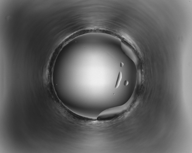 X0000088850876200706081133