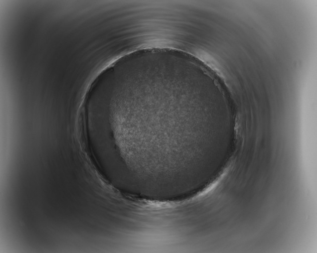 X0000088850877200706081133