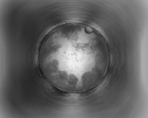 X0000088850878200706081133
