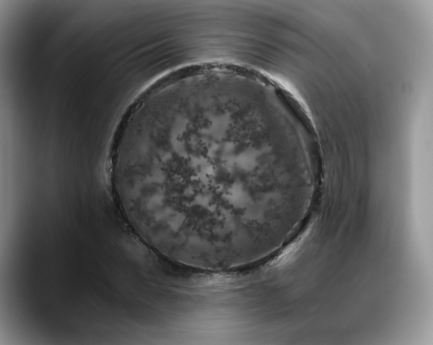 X0000088850879200706081133