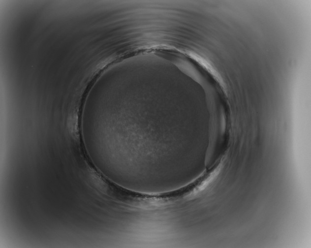 X0000088850881200706081133