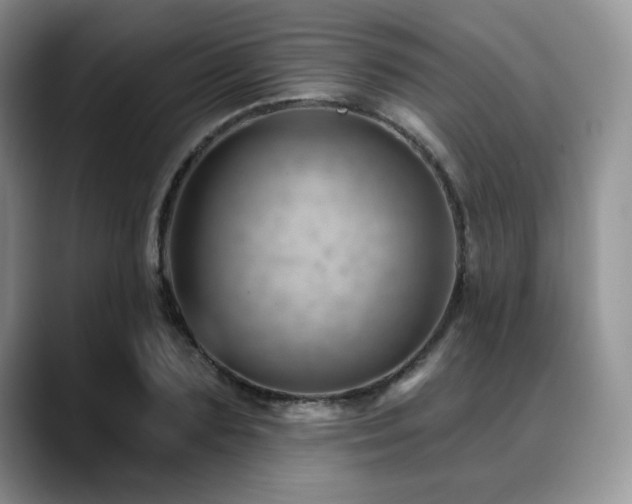 X0000088850883200706081133