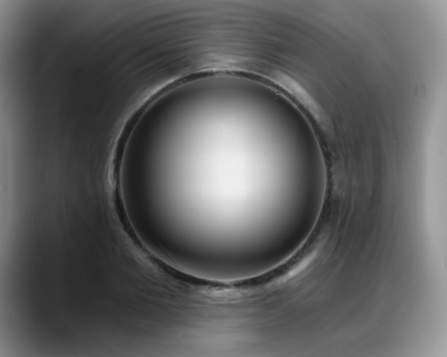 X0000088850885200706081133