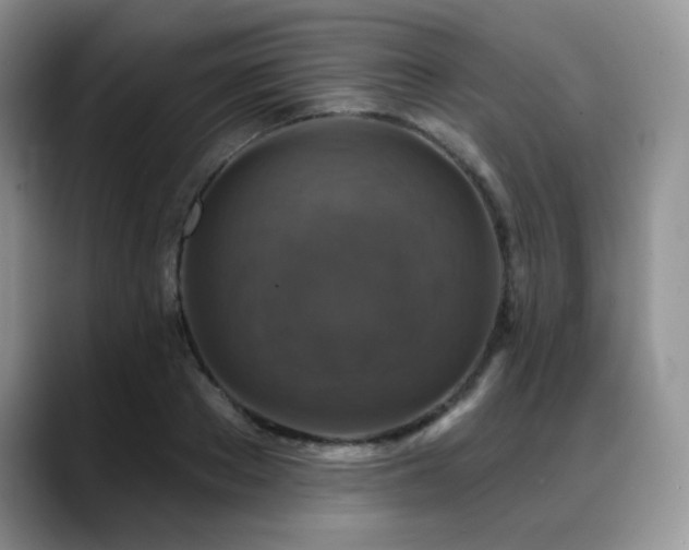X0000088850889200706081133