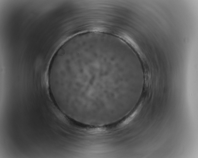 X0000088850891200706081133