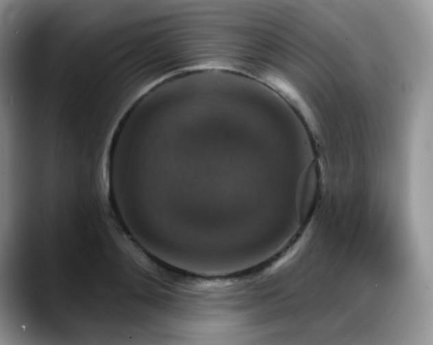 X0000088850892200706081133