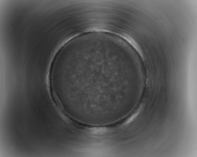 X0000088850893200706081133
