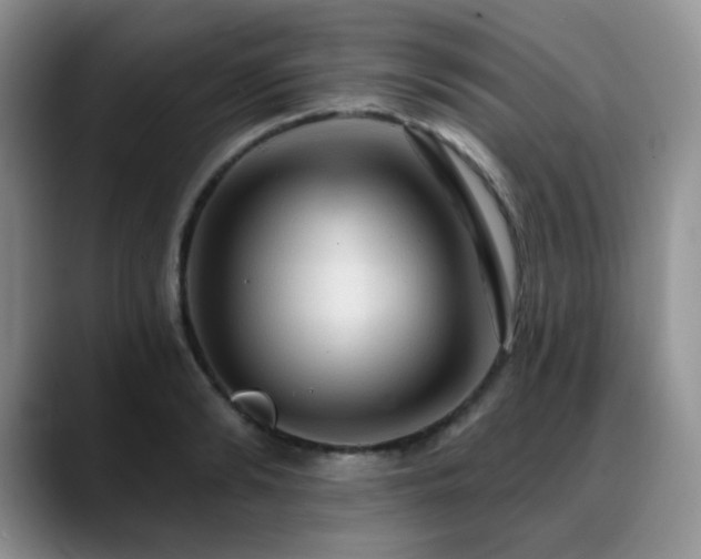 X0000088850894200706081133