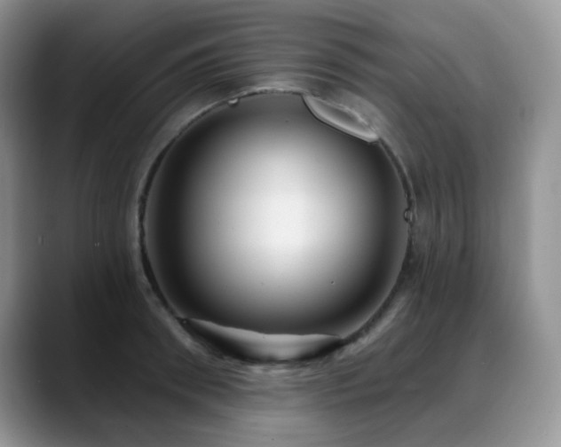 X0000088850898200706081133