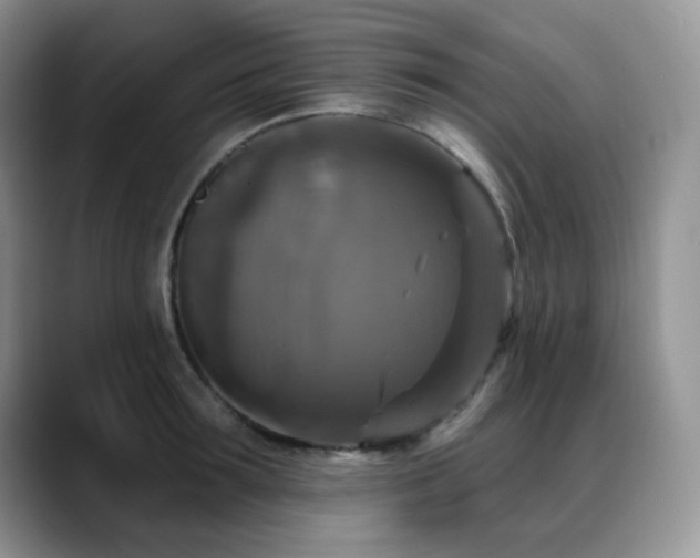 X0000088850899200706081132