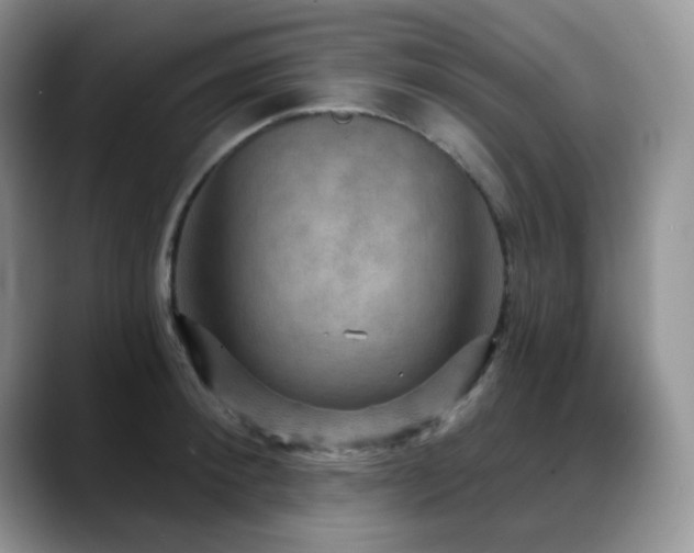 X0000088850900200706081132