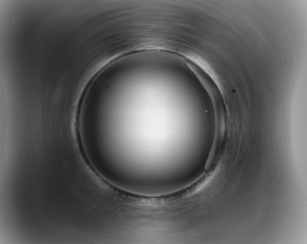 X0000088850901200706081132