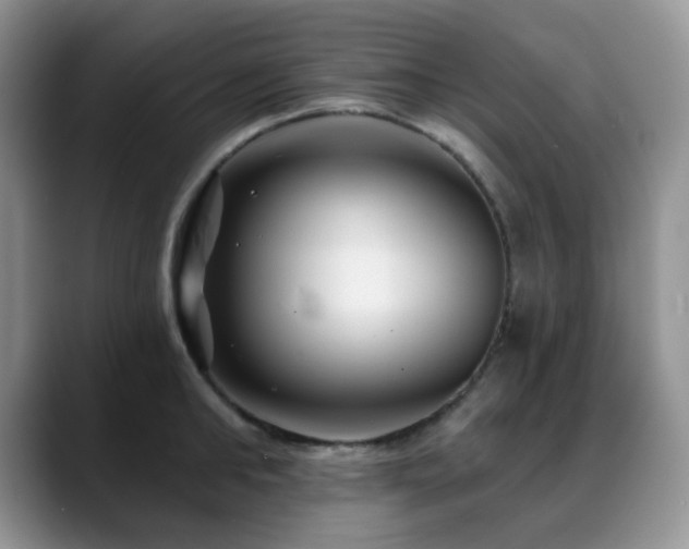 X0000088850902200706081132