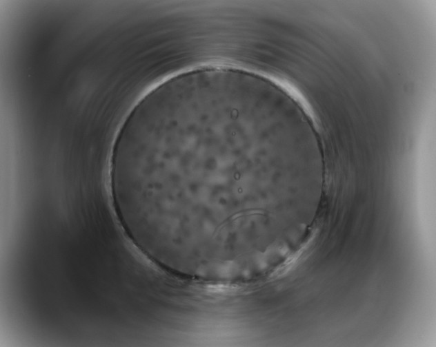 X0000088850903200706081132