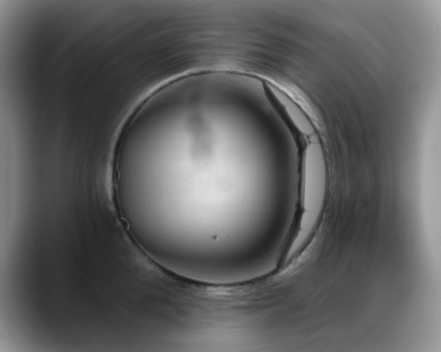 X0000088850904200706081132