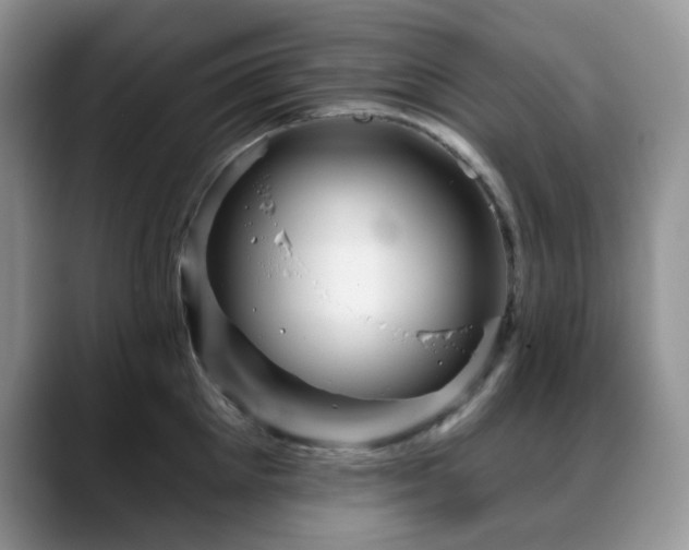 X0000088850905200706081132