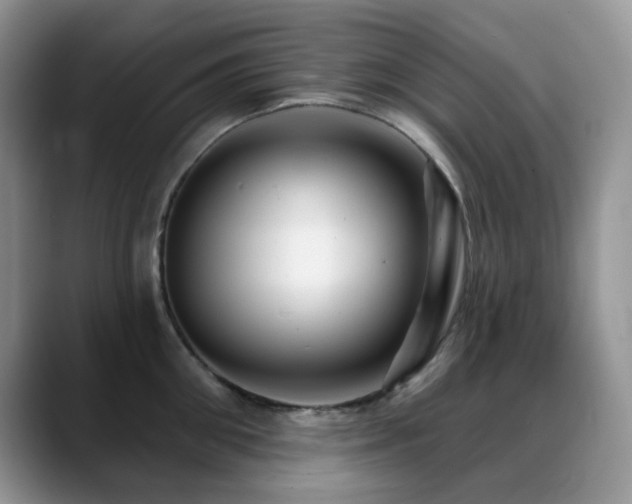 X0000088850906200706081132