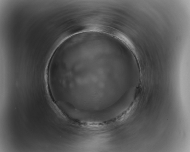 X0000088850907200706081132