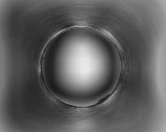 X0000088850908200706081132