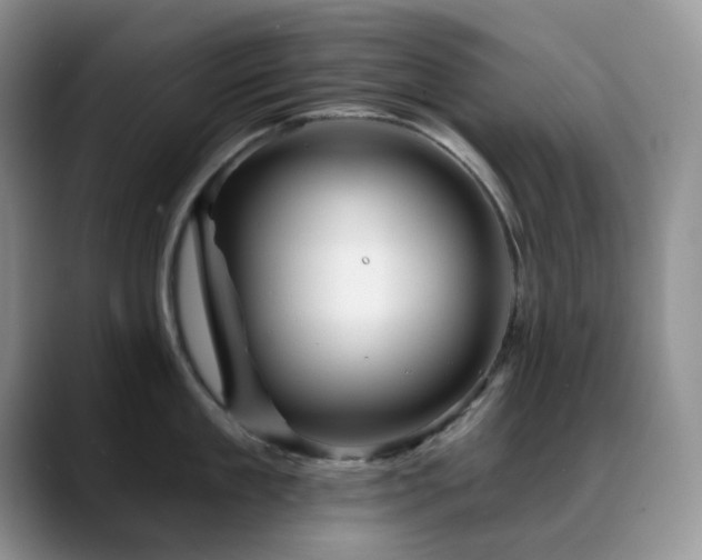 X0000088850909200706081132