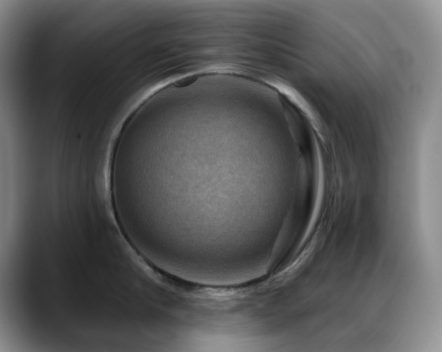 X0000088850910200706081132