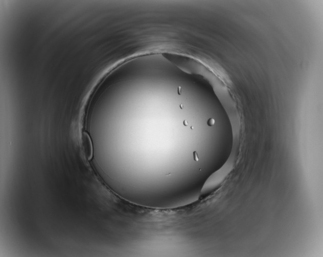 X0000088850912200706081132