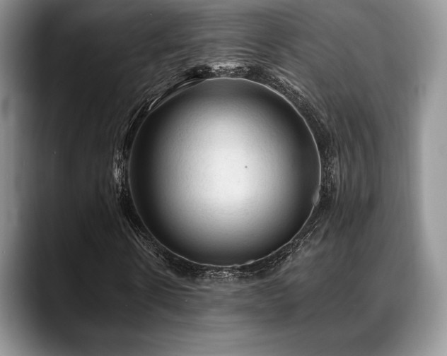 X0000088850914200706081132