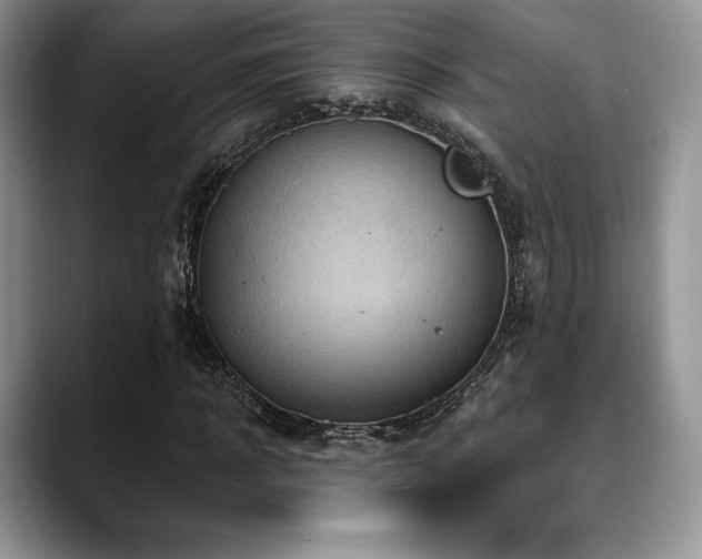 X0000088850918200706081132