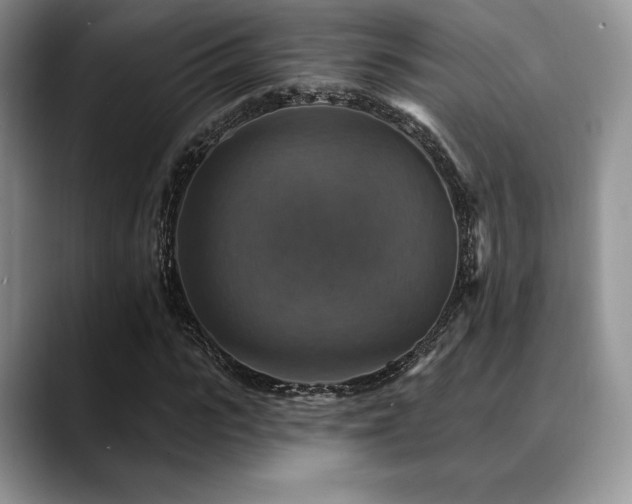 X0000088850919200706081132