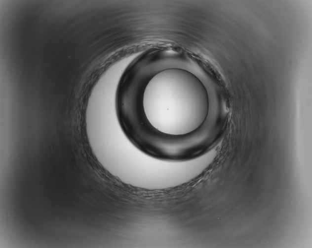 X0000088850920200706081132