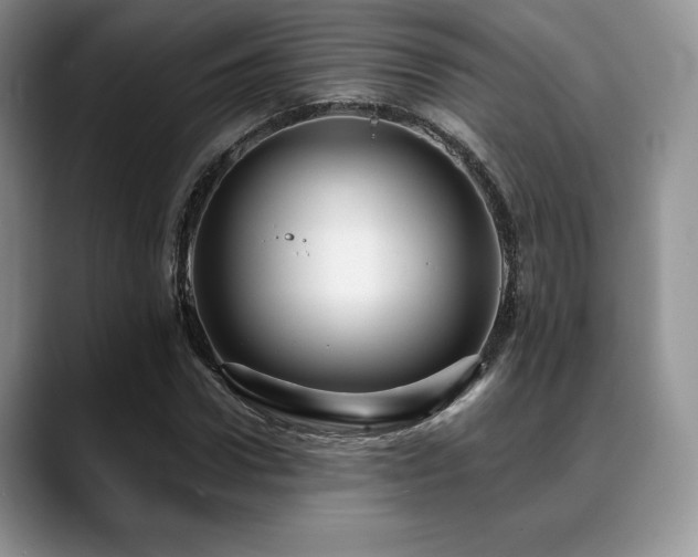 X0000088850922200706081132