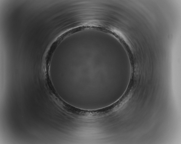 X0000088850923200706081132