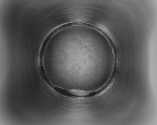 X0000088850924200706081132
