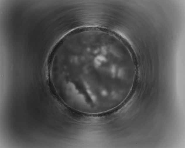 X0000088850925200706081132